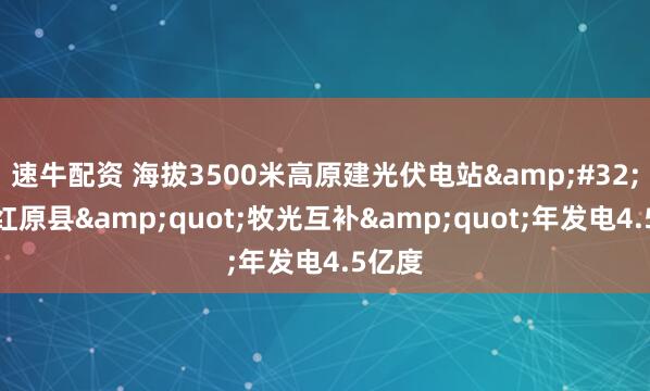速牛配资 海拔3500米高原建光伏电站&#32;四川红原县&quot;牧光互补&quot;年发电4.5亿度